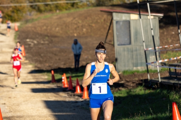 CIF-200