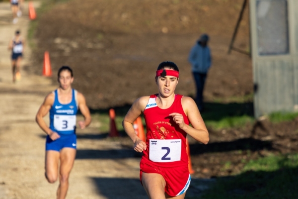 CIF-201