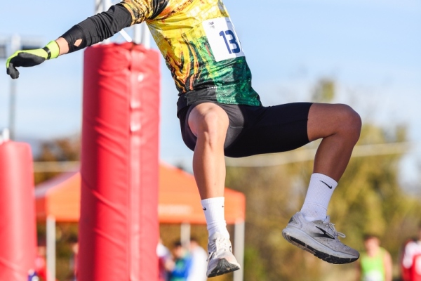 20241207_DMon_DPM7384