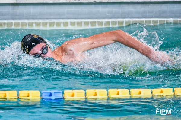 20241208_DMon_DMP4817