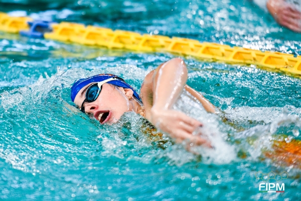 20241208_DMon_DMP6843