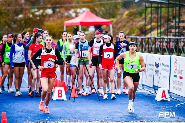 20241208_DMon_DMP7207