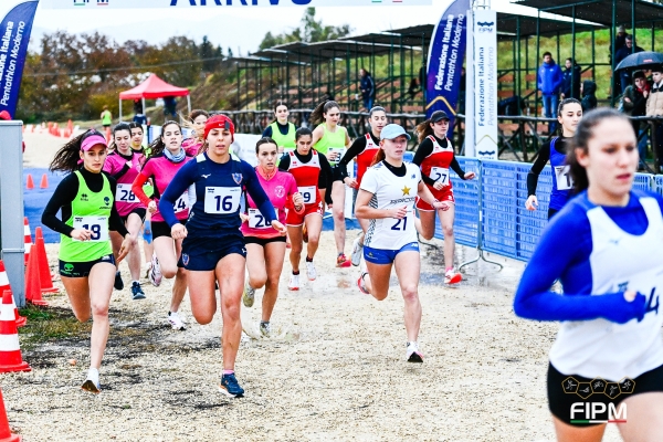 20241208_DMon_DMP7239
