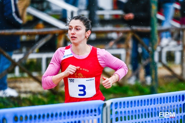 20241208_DMon_DMP7244