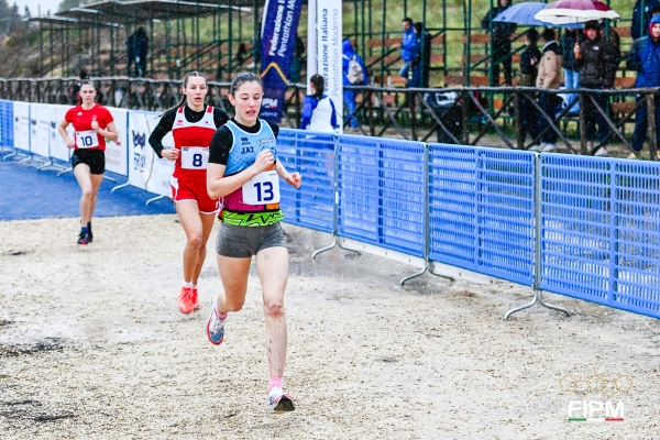 20241208_DMon_DMP7253