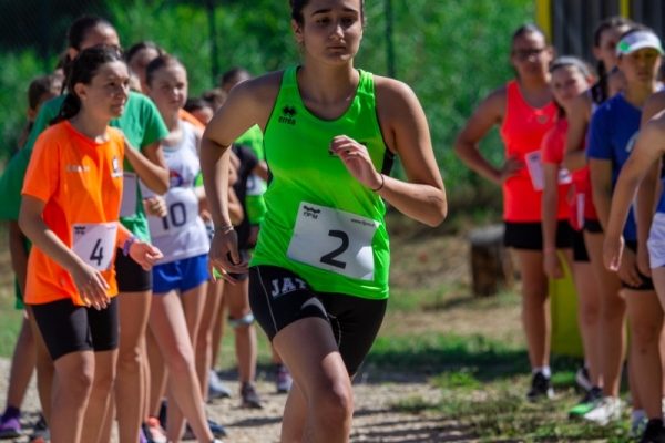 U15-181
