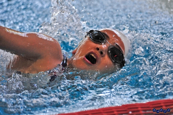 Federazione Italiana Pentathlon Moderno Pesaro