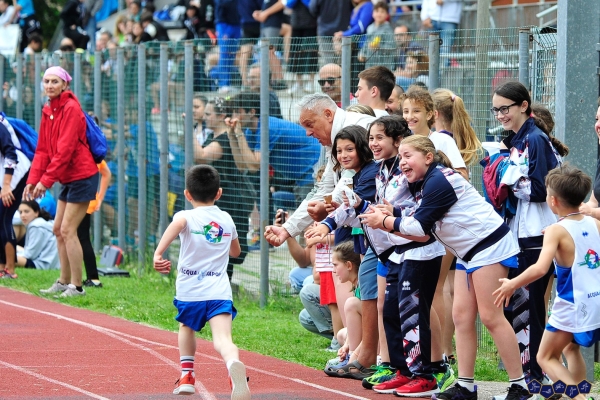 Federazione Italiana Pentathlon Moderno Pesaro