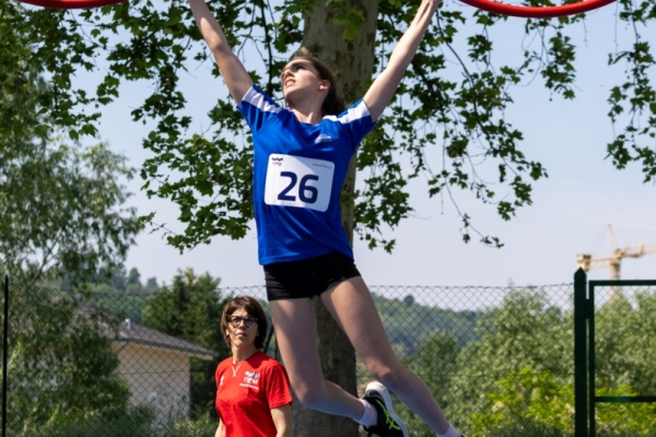 asti-313