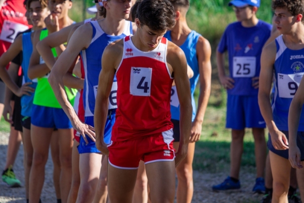 U19-295
