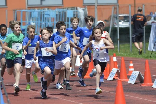 LUC9629