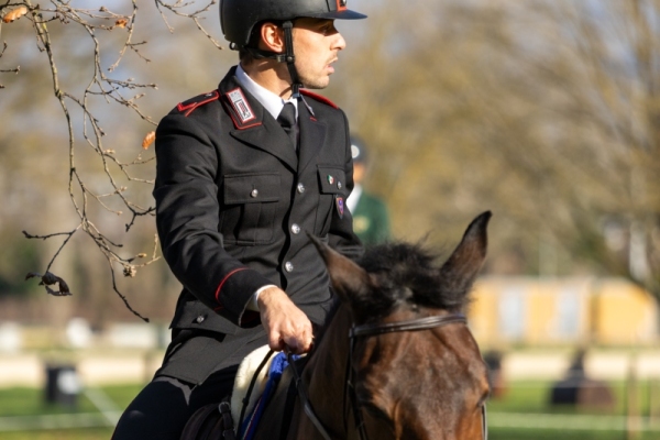 cif-019