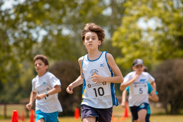 U15M-31