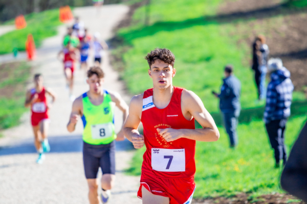 TN-U15-754