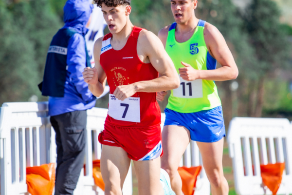 TN-U15-778