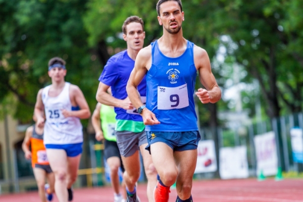 TNLR-201