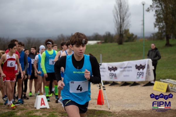 TN-U17-13-261