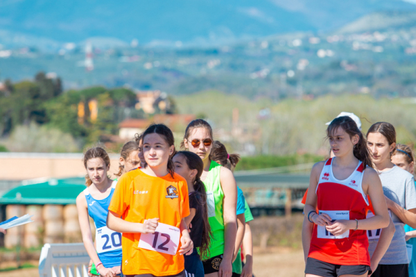 TN-U13-043