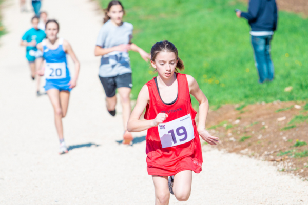 TN-U13-062