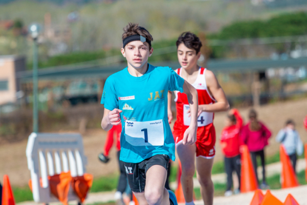 TN-U13-132