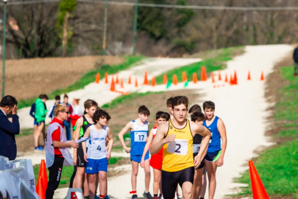 TN-U15-179