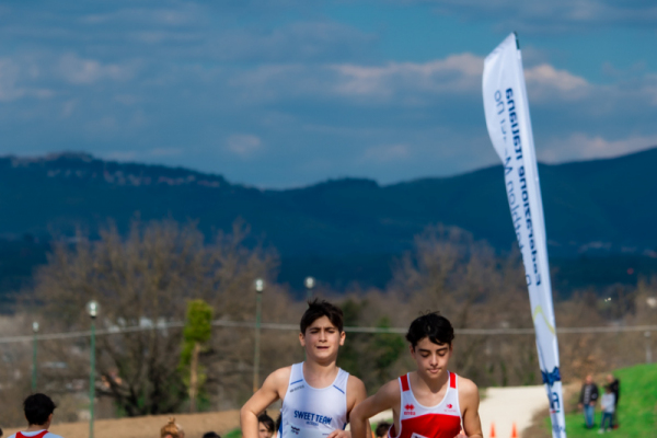 TN-U15-182