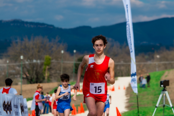 TN-U15-183