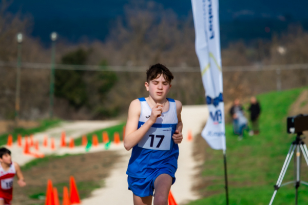 TN-U15-185