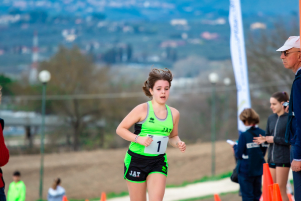 TN-U15-230