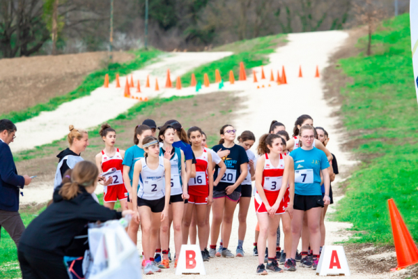 TN-U15-253