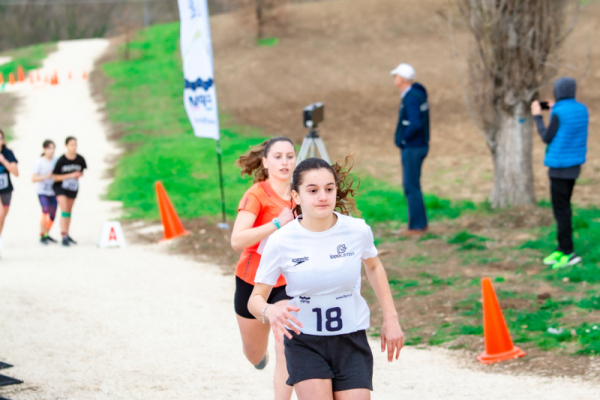 TN-U15-259