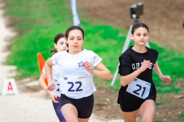 TN-U15-261