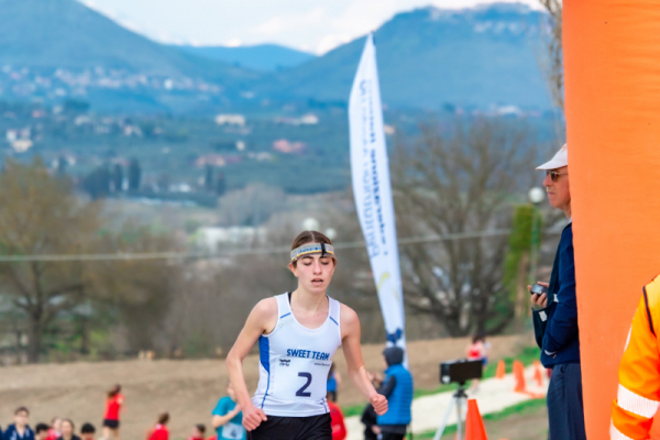 TN-U15-271
