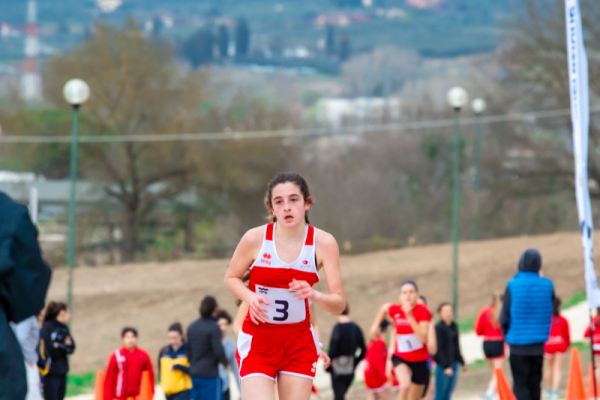 TN-U15-274