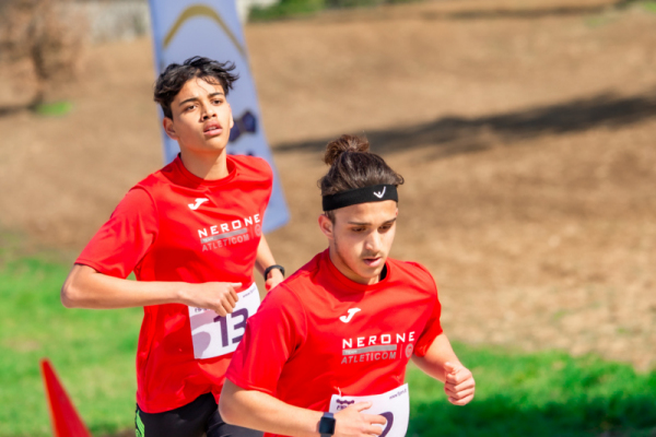 TN-U19-153