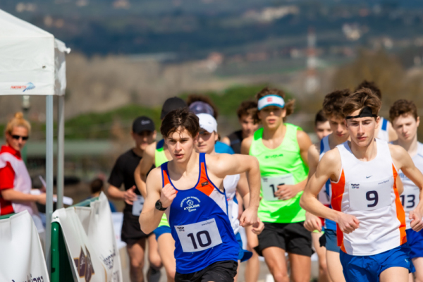 TN-U19-201