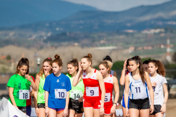 TN-U19-246
